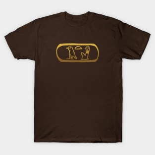 Mother in Ancient Egyptian Hieroglyphics. T-Shirt